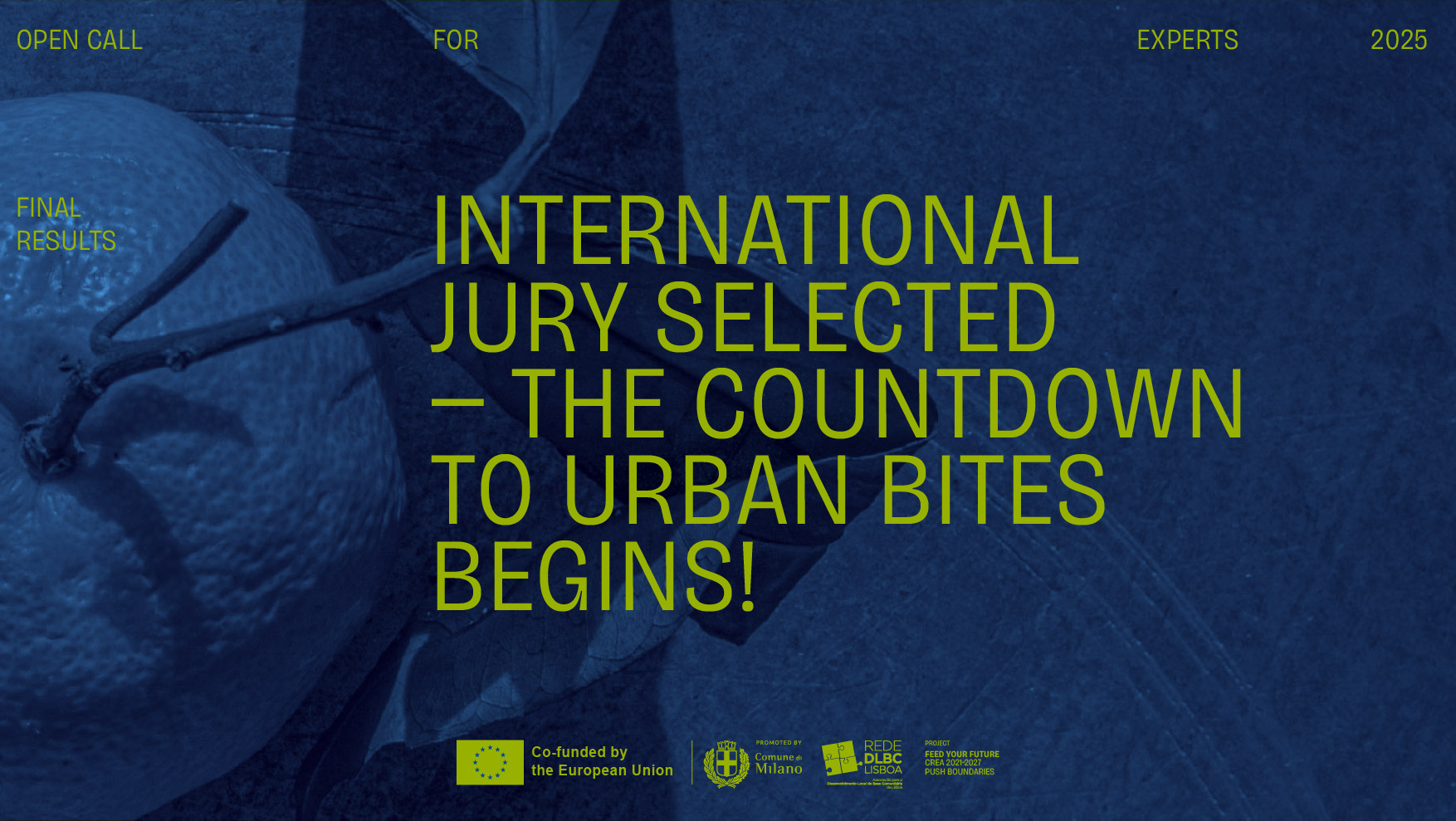 Open Call for Experts_Jury Panel_Results_Banner.jpg